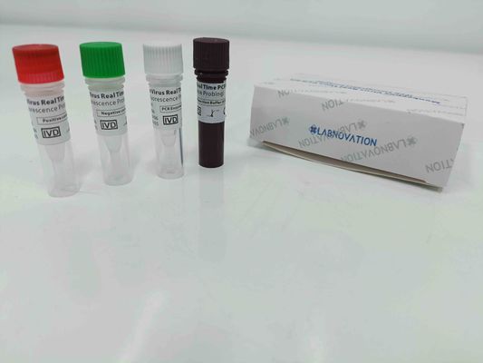 kualitas  Real Time Monkeypox PCR Test Kit With Positive / Negative Control pabrik