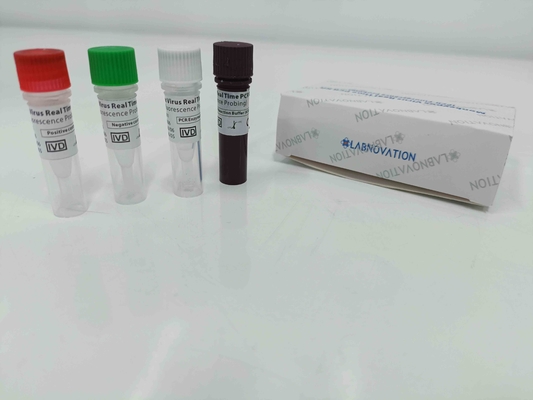 Kit Uji PCR Monkeypox Waktu Nyata Dengan Kontrol Positif / Negatif