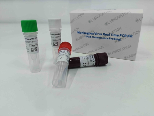 Monkeypox Virus PCR Rapid Test Kit Real Time Untuk Sampel Eksudat Lesi Serum Manusia