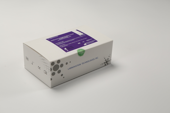 Labnovation 20 Test Influenza AB Test Kit Untuk Perawatan Dini